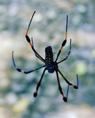  Iguana Spider! En fascinerande vävkonstnär med en överraskande förbindelse till dinosaurier