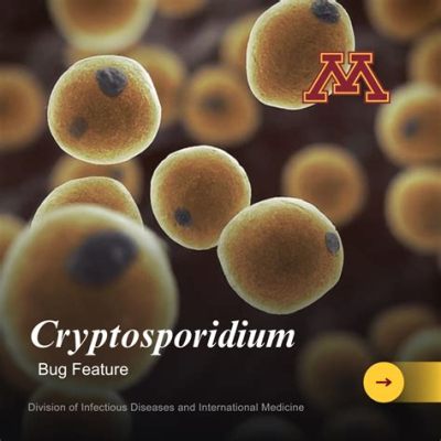  Kryptosporidium! Den mikroskopiska parasiten som kan ge dig en riktigt dålig dag